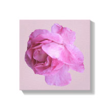 Rose jolie rose moderne floral simple art fin