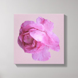Toile Rose jolie rose moderne floral simple art fin