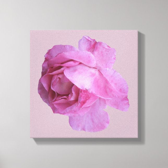 Toile Rose jolie rose moderne floral simple art fin (Recto)