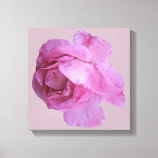 Toile Rose jolie rose moderne floral simple art fin
