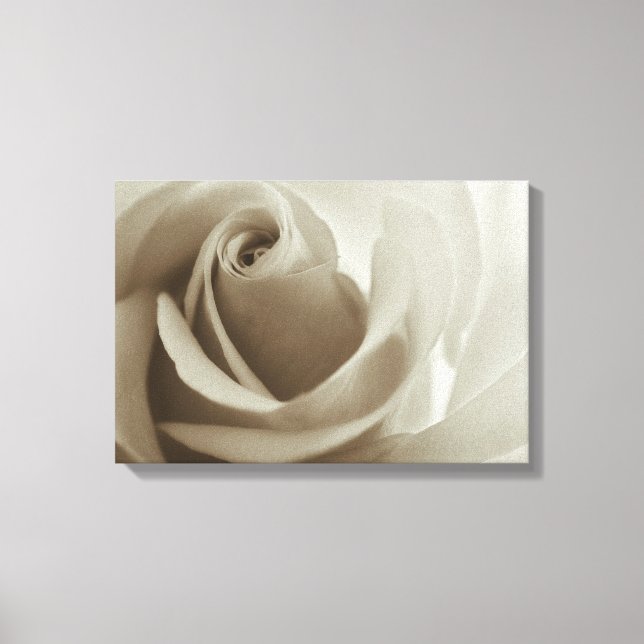 Toile Rose romantique Sepia Flower (Recto)