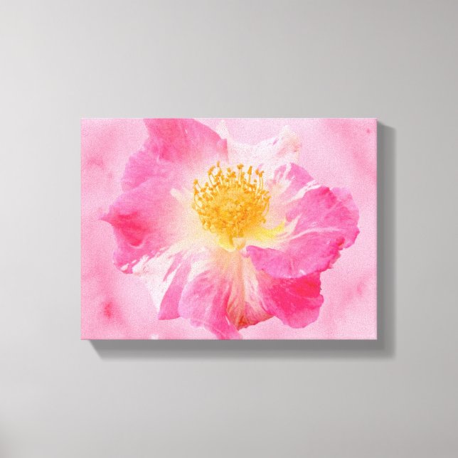 Toile Rose rose (Recto)