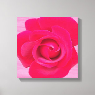 Toile Rose rose rouge romantique