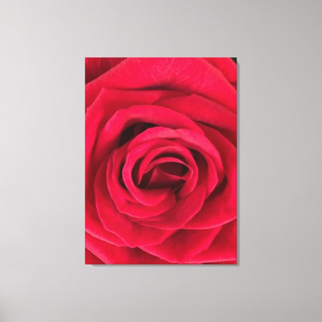 Toile Rose rouge (Recto)