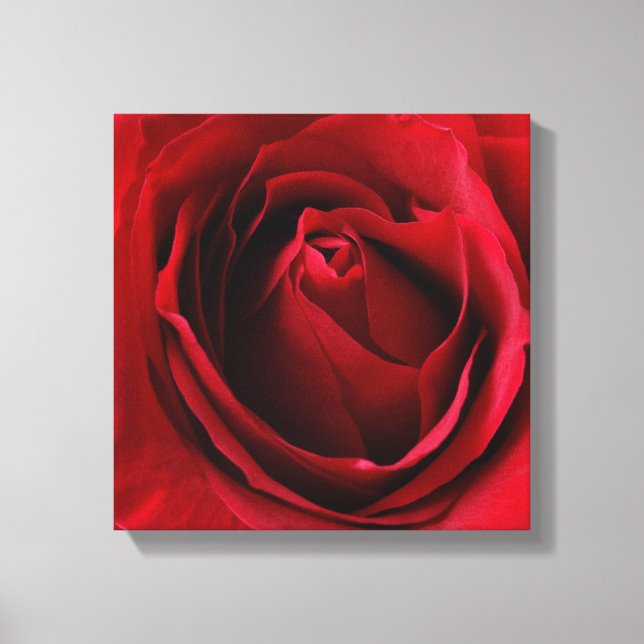 Toile rose rouge profonde (Recto)