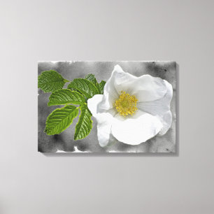 Toile Rose sauvage de plage blanche