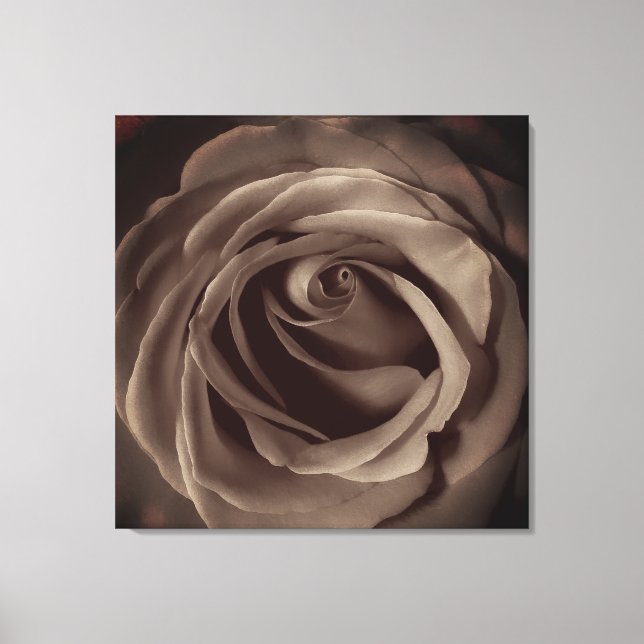 Toile Rose vintage (Recto)