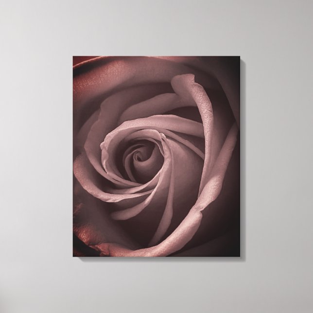 Toile Rose vintage (Recto)