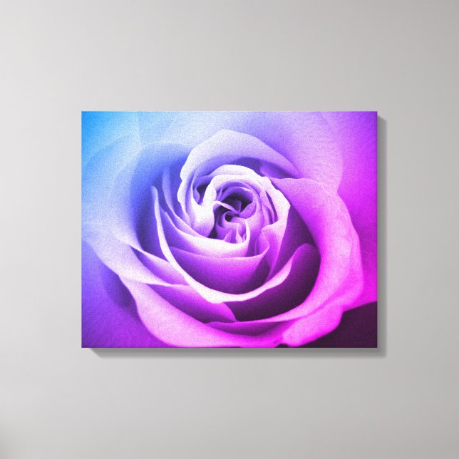 Toile Rose violet (Recto)