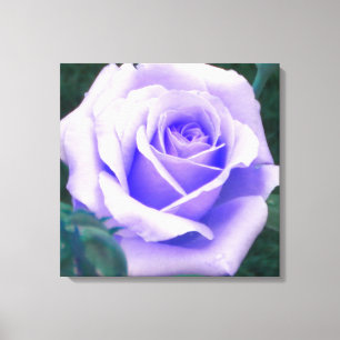 Toile Rose violet pâle enrobée Imprimer