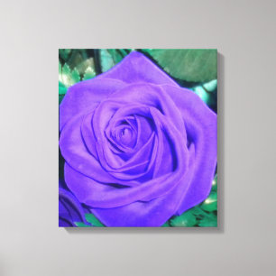 Toile Rose violette profonde enrobée