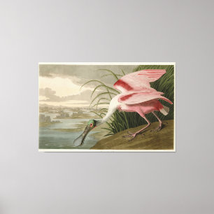 Toile Roseate Spoonbill from Audubon's Birds of America