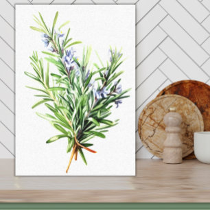 Toile Rosemary Herbe Frais Aquarelle Art pour cuisine