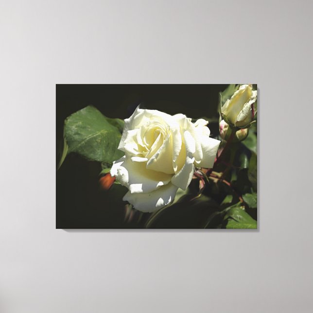 Toile Roses blanches Fleurs sauvages Imprimer Photo (Recto)