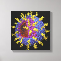 Rotavirus 2