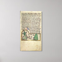 Roy Page de texte avec illustration