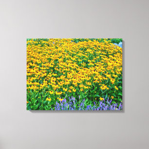 Toile Rudbeckia Hirta Et Lavande
