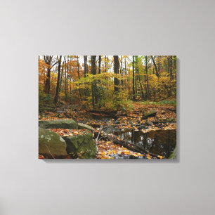 Toile Ruisseau de Fall avec reflet au parc Laurel Hill
