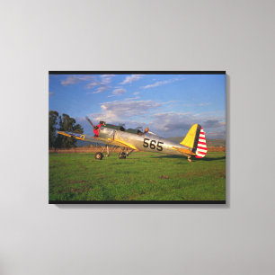Toile Ryan, PT-22, aviation de WWII_Classic