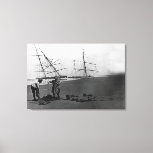 Toile S.S. Péninsule d'Ilwaco d'épave d'Alice McDonald