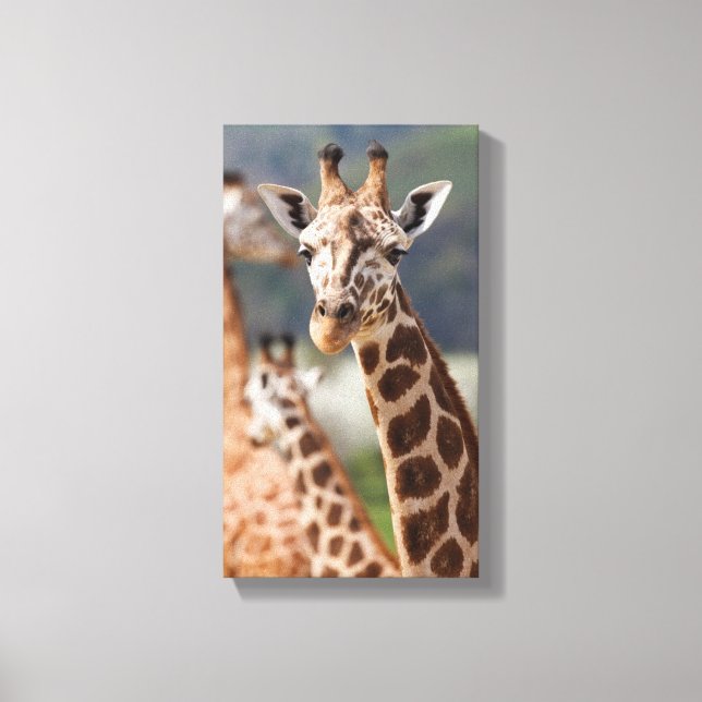 Toile Safari Afrique Giraffe (Recto)