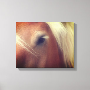 Toile Sagesse des yeux du cheval