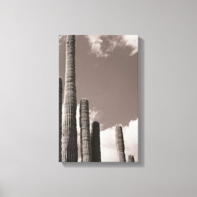 Toile Saguaro Cactus Pipes Desert B&W Photo Art Prints (Recto)