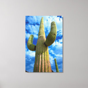 Toile Saguaro cactus portrait, Arizona