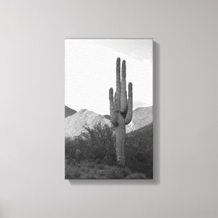 Toile Saguaro Cactus Sonoran Desert B&W Photo Art Imprim