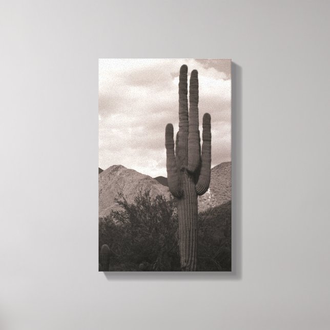 Toile Saguaro Cactus Sonoran Desert B&W Photo Art Imprim (Recto)