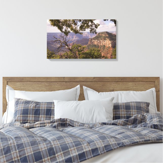 Toile Saison De Mousson À North Rim Du Grand Canyon (Insitu(Chambre))