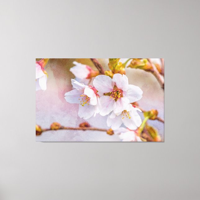 Toile Sakura - Fleur de cerisier japonaise (Recto)