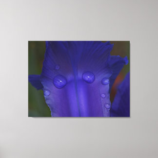 Toile Sapphire Serenity 