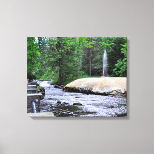 Toile Saratoga Spa State Park-Geyser Creek