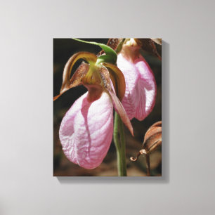 Toile Sauvage rose Lady Slipper Orchid Pair Fermer