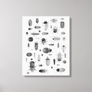 Toile Scarabée noir et blanc
