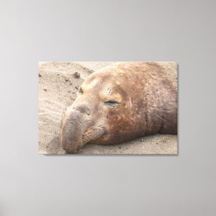 Toile Sceau d'éléphant