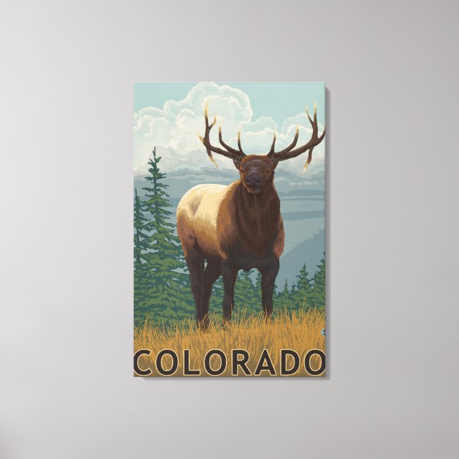 Toile Scène Elk Colorado (Recto)