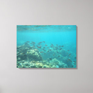 Toile Scène sous-marine de poissons tropicaux