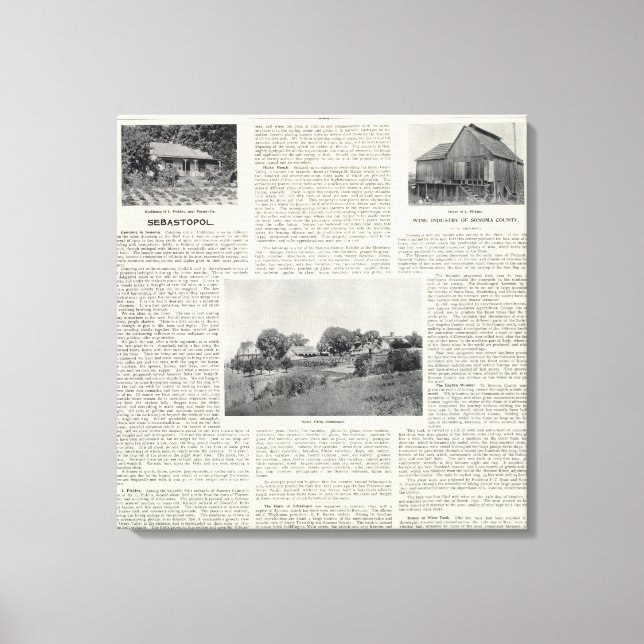 Toile Sebastopol, Californie (Recto)