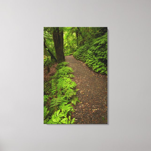 Toile Sentier à travers la forêt (Recto)