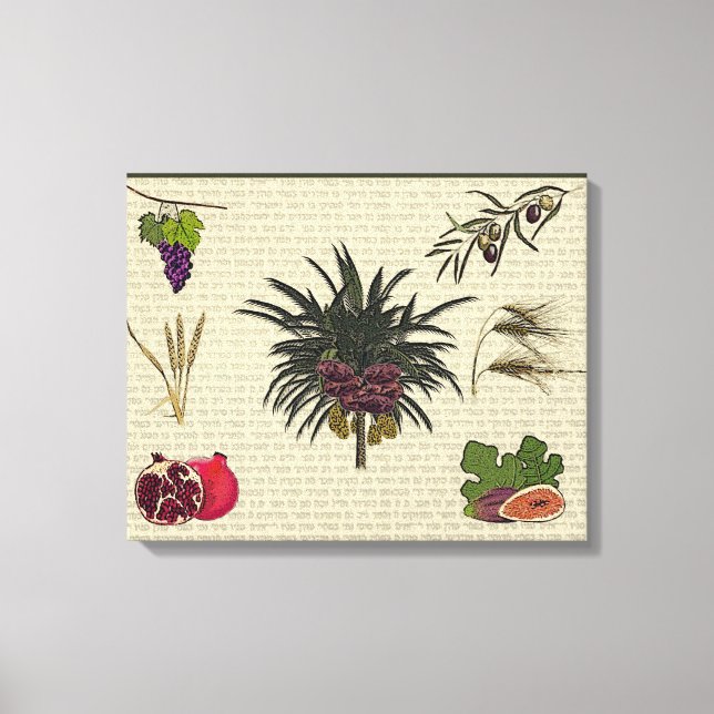 Toile Sept espèces (Recto)