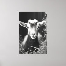 Serène Monochromatique Artiste Baby Portrait de ch
