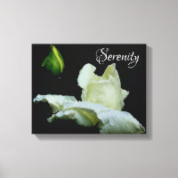 Serenity White Rosebud Mots Inspirants
