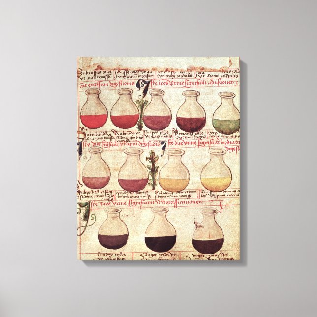 Toile Série de flagons pour l'analyse d'urine (Recto)