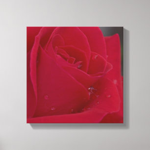 Toile S'est levé avec la rosée