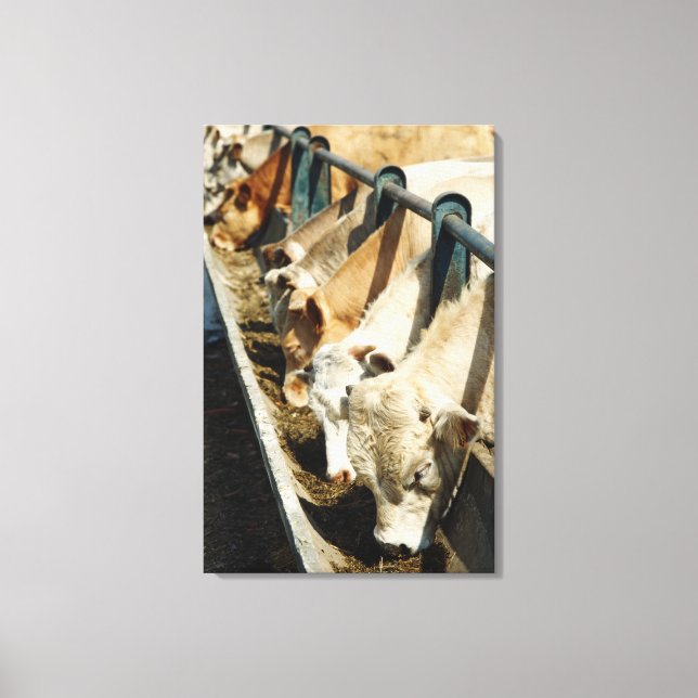 Toile Sicile, Italie (Recto)