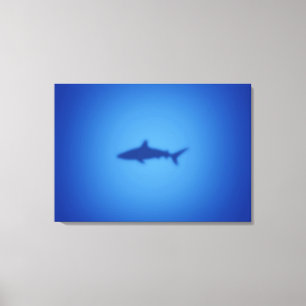 Toile Silhouette de requin