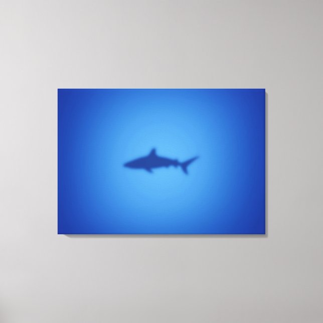 Toile Silhouette de requin (Recto)