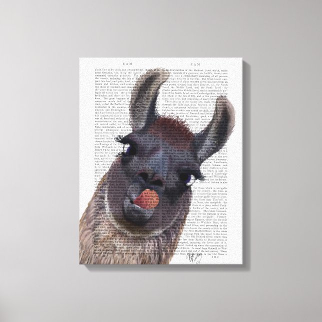 Toile Silly Llama (Recto)
